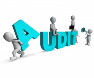 asset protection audit
